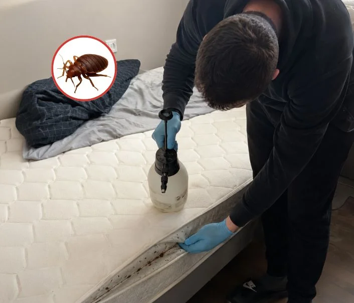 Technicien traitant un matelas contre les punaises de lit à Gonesse